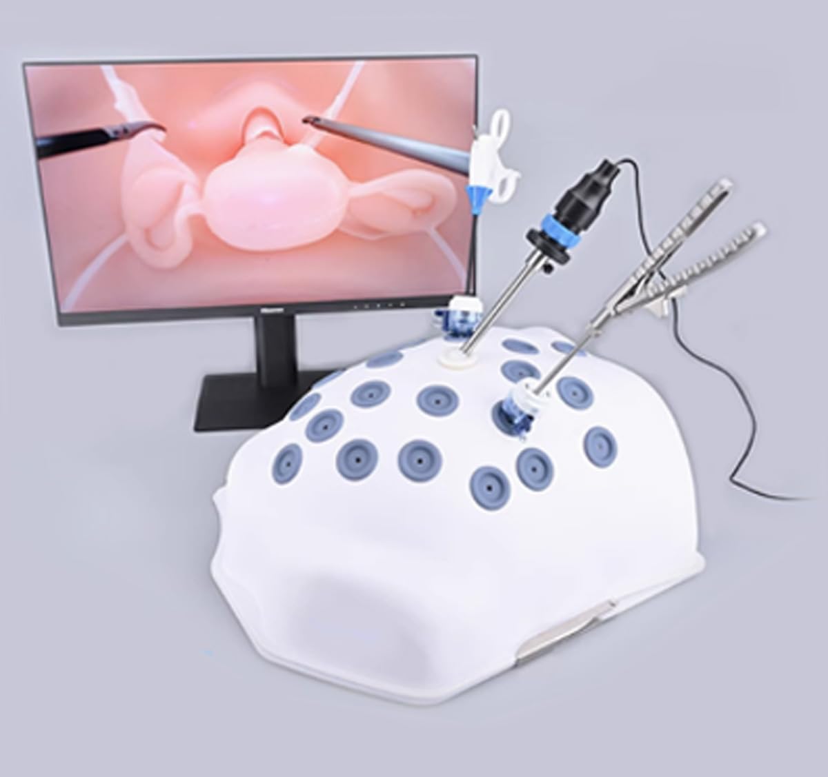 Laparoscopic Surgery Simulation Trainer with Endoscopic Module and Instruments for Medical Training