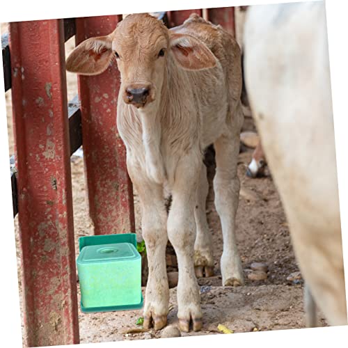 Mangeoire à bétail en PP robuste support fixe pour bloc de léchage - 3