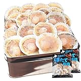 ほたて カンカン焼きセット 20枚入 冷凍ほたて 冷凍 北海道産 半缶入り(貝むきナイフ・片手用軍手付き) ほたて片貝 海鮮 バーベキューセット