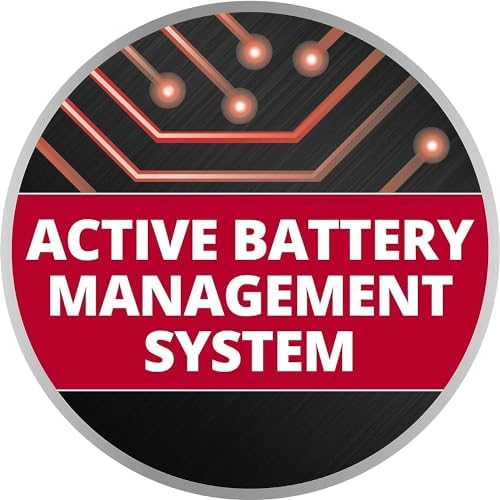 Einhell Oryginalny akumulator Twinpack 4Ah Power X-Change (Li-Ion, 18 V, 2x4,0Ah, nadaje się do wszystkich narzędzi PXC, zarządzanie akumulatorem, cykle ładowania dostosowane do sytuacji)