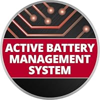 Original Einhell Akku PXC-Twinpack 2,5 Ah Power X-Change (Li-Ion, 18 V, 2X 2,5 Ah-Akkus, universell für alle PXC-Geräte, proaktives Batteriemanagement, angepasste Ladezyklen) – Ansicht 3