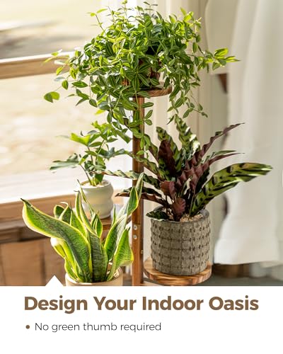 Support pour plantes d'intérieur à 4 niveaux en bois pour balcon