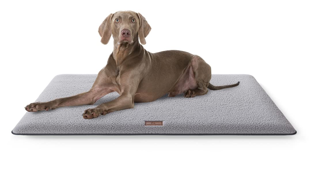 Knuffelwuff Tapis Douillet pour Chien, Calliope, en Peluche, 100 x 70 cm, Gris, Coussin pour Chiens de Grande, Moyenne et Petite Taille, pour la Maison, la Voiture, Le Camping-Car, la Caravane