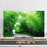 FUELIX Coperture Protettive per Televisori Copertura TV Copertura Antipolvere Copertura Asciugamano 32-75 Pollici Copertura LCD Sospesa Decorazione Moderna Copertura TV per TV LED A5,45-48in