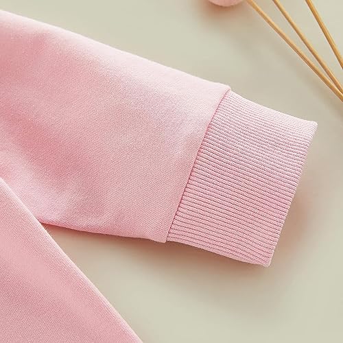 Image of Baby Boy Girl Pumpkin Sweatshirt Tops Toddler Halloween Outfit Long Sleeve Crewneck Pullover Sweater Shirt Fall Clothes