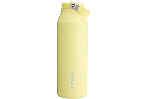 Stanley Adventure Quencher H2.0 FlowState Tumbler with Straw