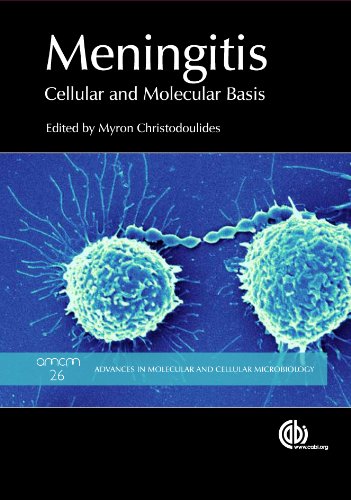 Meningitis: Cellular and Molecular Basis (Advances in Molecular and ...