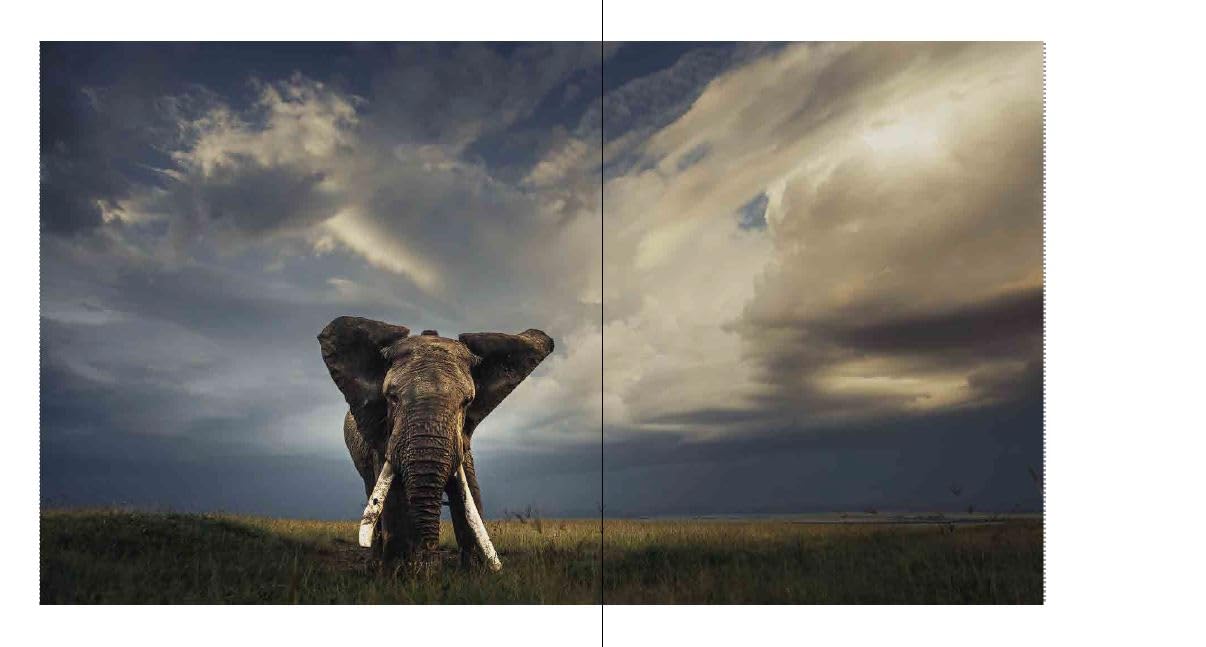 Walk the Earth: Federico Veronesi