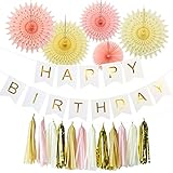 Wcaro Party Decor Kit Tissue Paper Fan Tassel Garland HAPPY BIRTHDAY Banner Party Hanging Decoration Favor for Birthday White & Gold Party Decorations Bunting Banner Flag Garland Party Supplies(White)