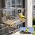 Freesason Smart Bird Feeder with Camera & AI Bird Identifier, 2K HD Auto-Capture Video, Window Mounted with Strong Suction Cups, Unique Tech Gift for Birds Watchers (Clear)