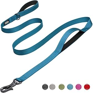 Fida 6 FT Heavy Duty Dog Leash with 2 Comfortable Padded Handles, Traffic Handle & Advanced Easy Snap Hook, Reflective Walking Lead for Large, Medium & Small Breed Dogs, Blue