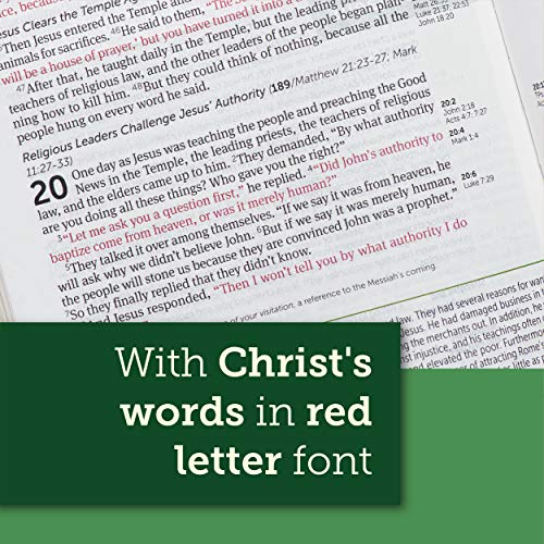 NLT Life Application Study Bible, Third Edition, Large Print (Red Letter, Hardcover): New Living Tra