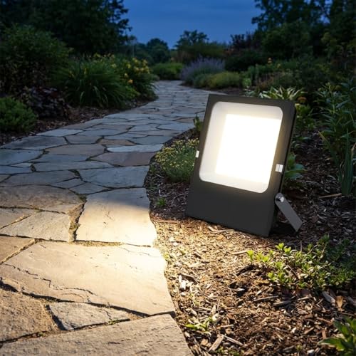 BARCELONA LED Proiettore LED Esterno 100W 12-24V DC IP66 13000lm Bianco Freddo 5000K 120° Faro LED Bassa Tensione Impermeabile per Giardino Camper Barca Cantiere Solare Illuminazione
