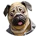 Special New Latex Full Head Overhead Animal Cute Bulldog Mask for Mask Festival、halloween、easter or Dance Party
