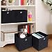SONGMICS RFB02H-3 - Organizadores Plegables, 6 Piezas, con Agujeros para Dedos, 30...