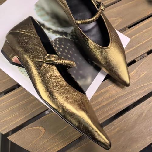Metallic Style Pointed Toe Mary Jane Flats for Women with Side Metal Buckle Genuine Leather Shoes Low Heels&Low-Cut Comfort Casual Dressy Office Work3