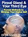 Pineal Gland & Third Eye: Proven Methods to Develop Your Higher Self
