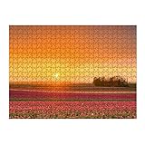 artboxONE-Puzzle L (500 Teile) Natur Tulpenfeld im Sonnenuntergang - Puzzle tulpen bunt Deutschland