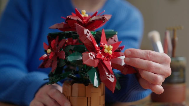 Amazon.co.jp: レゴ(LEGO) ボタニカル ポインセチア おもちゃ 玩具