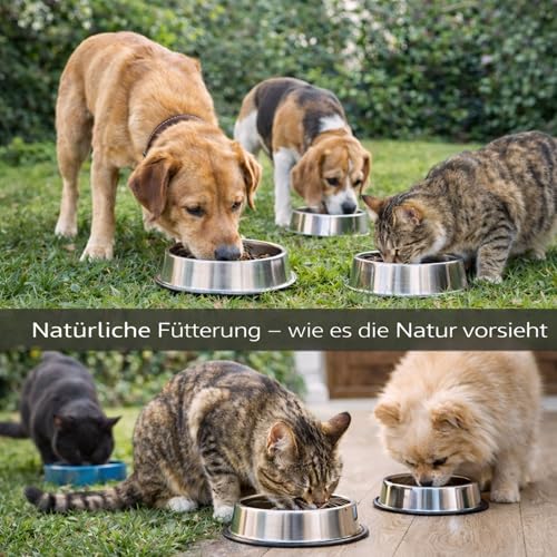 Futterkohle für Hunde & Katzen – 100% Pflanzenkohle ohne Zusatzstoffe – EBC Futter Standard – fein vermahlen – Ergänzungsfuttermittel für Hunde und Katzen 1,5Kg