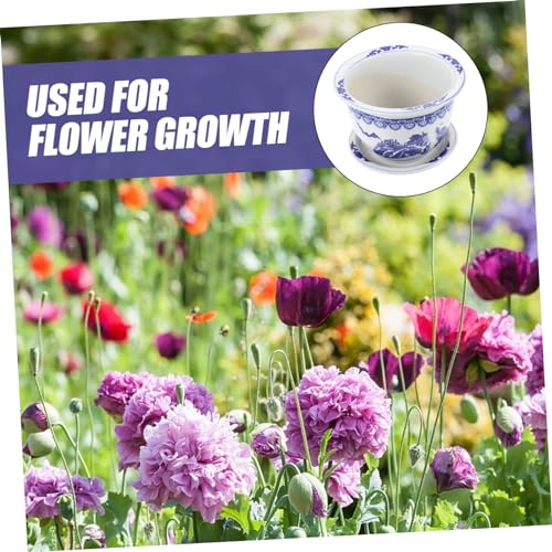 Pot de fleurs en céramique simple rond intérieur extérieur avec plateau