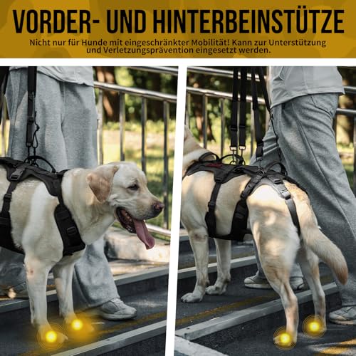 OneTigris Hundegeschirr, Tragehilfe Hund groß Ganzkörper Mit 2 Schultergurte Abnehmbares, Hund Tragehilfe Verstellbare Rückenlänge für Rüden und Hündinnen, Sicherheitsgeschirr mit 3 Griffen, M Schwarz