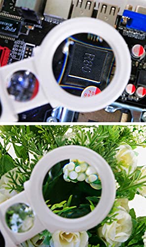 Loupe de lecture LED haute définition optique en verre 8X et 20X
