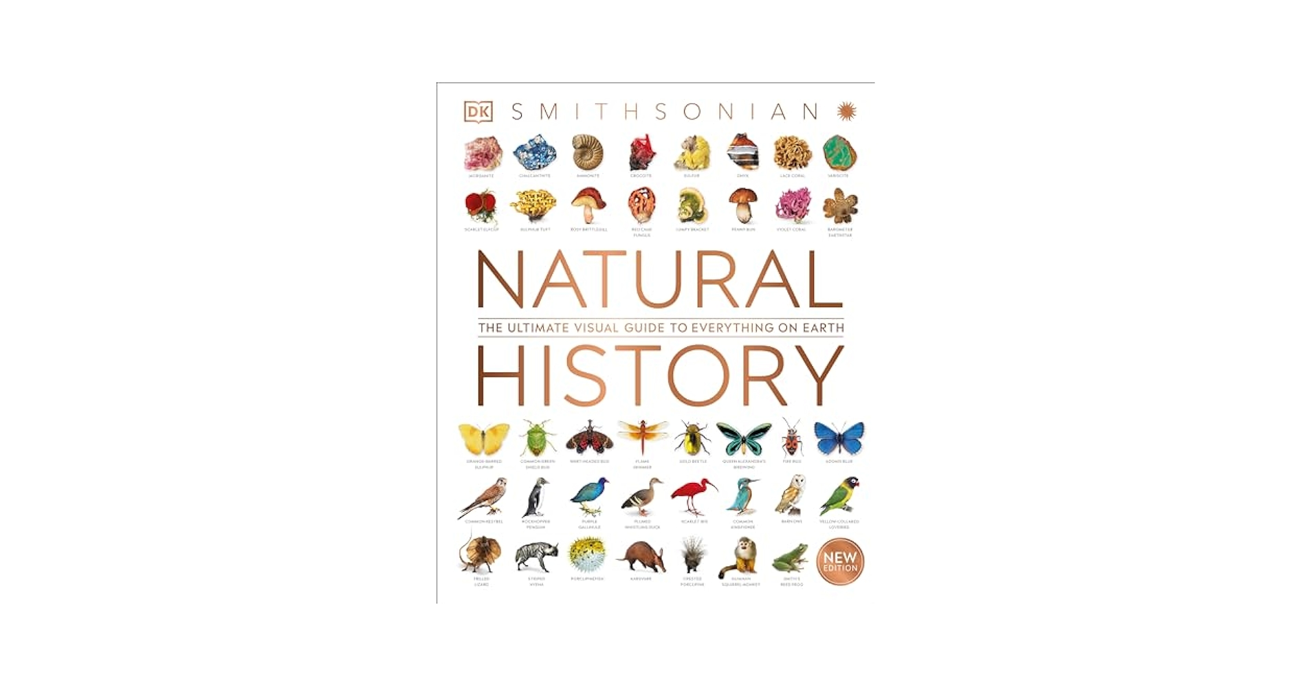 洋書 The natural history book Natural History (DK Definitive Visual Encyclopedias): DK