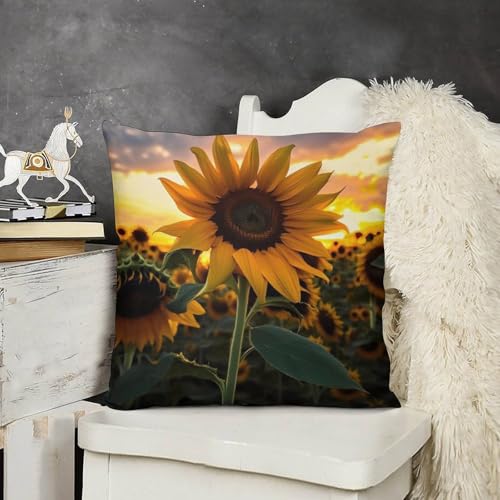 Housse de coussin tournesol en peluche double face douce