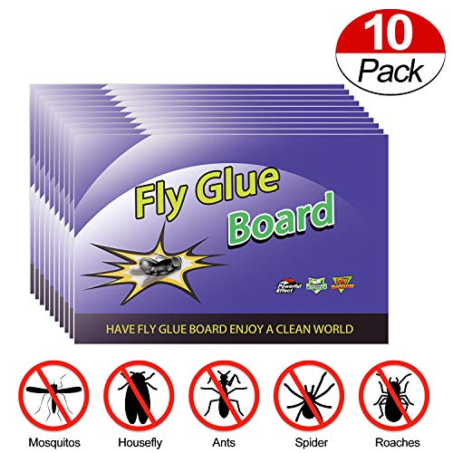 Fly Trap, Fly Paper, Fly Traps for Indoor and Outdoor Use,Eco-Friendly 100% Non-Toxic