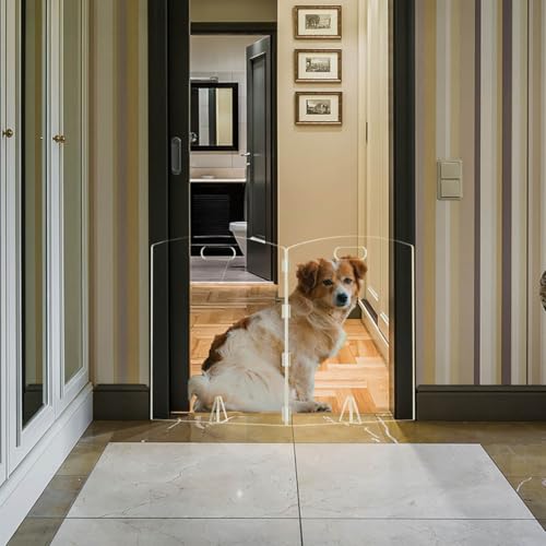 Clear Freestanding Dog Gate for Indoor Use,Pet Gates for Doorways no Drilling,Acrylic Foldable Dog Gate for Stairs with Support Feet (2 Panel - 40''W x 23''H)