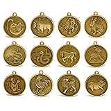 PNPGlobal 12点セット 中国十二支のチャーム 1インチペンダント お守り ラッキーメタルコイン ホロスコープ