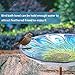 MUMTOP Glass Bird Bath, Garden Outdoor Birdbaths Birdfeeder with Metal Stake Peacock