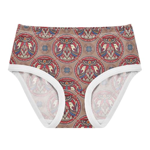 Indian Style Toddler Girls's Underwear 2T 202c1837