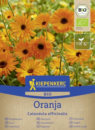 Kiepenkerl BIO Ringelblumensamen Oranja 50929 essbare bienenfreundliche Beet- und Schnittblume mit leuchtend orangen Blüten loses BIO Saatgut für Blumenbeet Hochbeet Balkon und Naturgarten