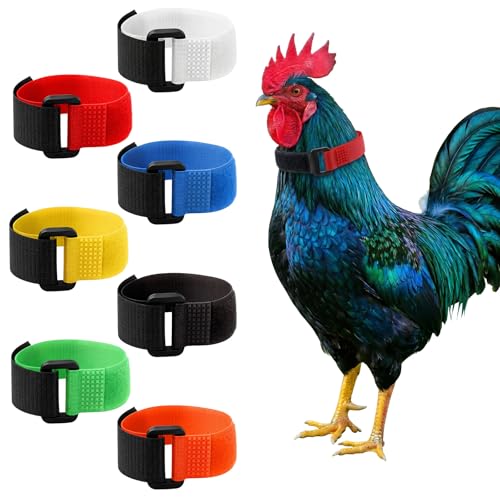 14 Pcs No Crow Rooster Collar to Stop Crowing Adjustable Anti Noise Nylon Neck Belt for Chickens Humane No Crow Collar to Prevent Chickens from Screaming - 7 Colors