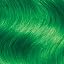 Neon Green