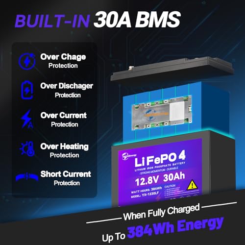 Image of 12V 30Ah Lithium Battery, Rechargeable LiFePO4 Battery with Built-in 30A BMS Board, 5000+ Deep Cycles, Higher Energy Density, for RVs, Van, Camping, Marine, Trolling Motor