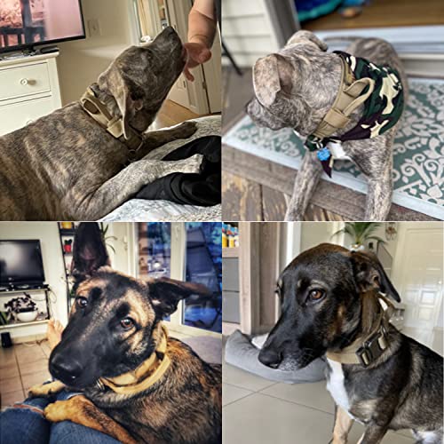 Dog Collar For Large Dog, Military Tactical K9 Heavy Duty Dog Collar For German Shepherd Big Dog With Flag Patch Papa Says Im Special Patch(Large, Brown) #TOP6
