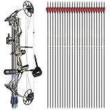 DragonX8 Compound Bow Kit Camo and Dragon10 24Pcs Carbon Arrows(300 Spine