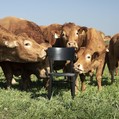 Karoll Petit, photographe reporter