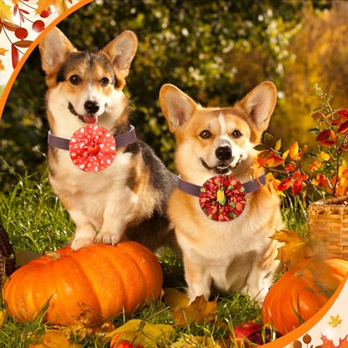 Huhumy 50 Pcs Thanksgiving Collar Bows for Fall Dogs Bow Ties Flowers Charms Attachment for Small Medium Large Dogs Cats Collar Accessories Holiday Party Costumes by Huhumy - Used condition - Image 2