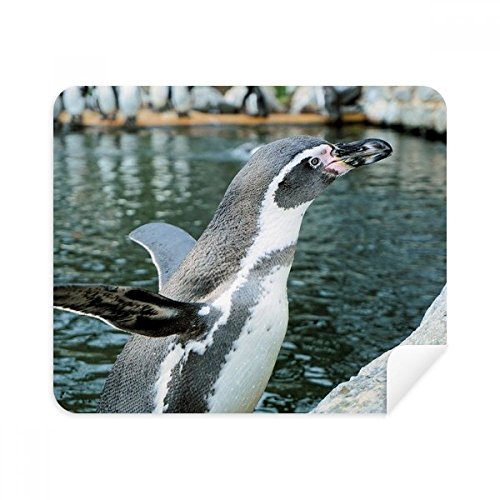 Nature Antarctic Penguin Science Picture Cleaning Cloth Screen Cleaner 2pcs Suede Fabric