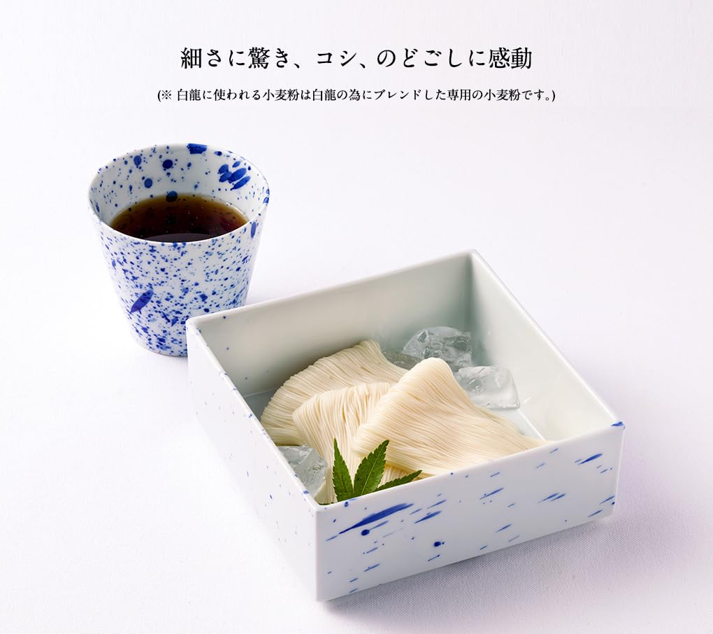 Amazon.co.jp: 三輪山本 贈答用 極細手延べそうめん 白龍・つゆ詰合せ