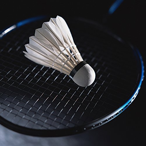 CHEN KEJIE OUDEバドミントンモデル300シャトル12個