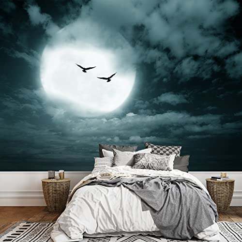 Amazon.com: wall26: Large
