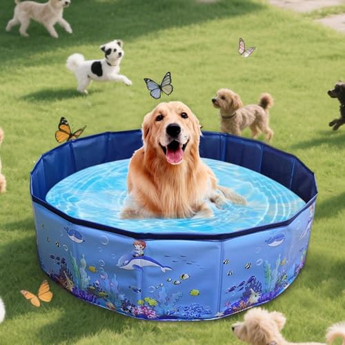 Piscina para cães, piscina ao ar livre para animais de estimação - Banheira impermeável dobrável par