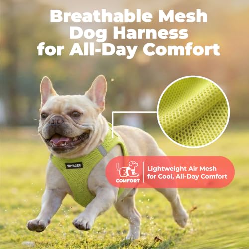 Image of Voyager Step-in Air Dog Vest Harness - Lime Green, X-Large