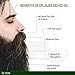Dr. Alies - Professional Beard Growth Oil | Enriched with Vitamin E, Almond & Castor Oil | Promotes Fuller, Thicker Beards | Solves Patchy Growth | Fast-Absorbing Beard Care Solution | 30ml