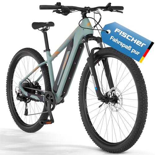 Fischer E-Bike MTB Montis 2.2 Active Elektrofahrrad für Damen und Herren, RH 43, Heckmotor 50 Nm, 48 V Akku